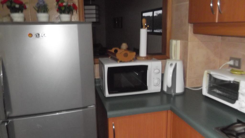 Departamento Duplex Centro Pucon Apartment Bagian luar foto